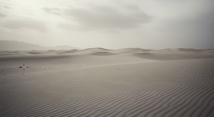 Vast light gray desert landscape