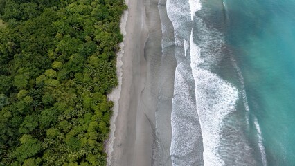 Tropical beach with lush forest and turquoise waves.