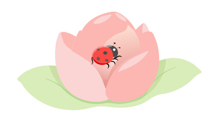 Ladybug on pink flower vector illustration, nature themed spring design, floral insect graphic, cute ladybug art
