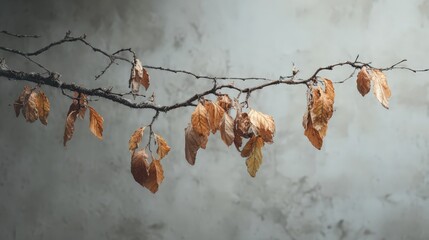 Thick Cracking Branch With Drying Leaves Against Gray Background