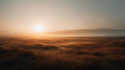 Expansive Golden Field at Sunrise in Tranquil Natural Setting
