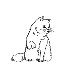 PNG Cat illustration