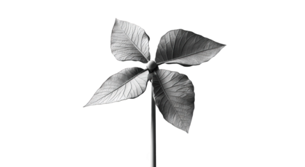 Grayscale pinwheel