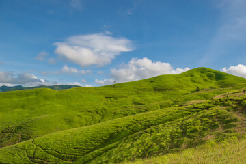 Obraz premium nature landscape