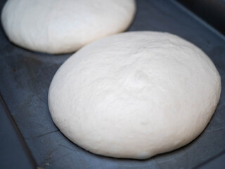 Two Perfect Balls of Pizza Dough Proofing on a Baking Tray