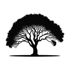Silhouette of a majestic spreading tree with intricate branches against a white background © FAISAL