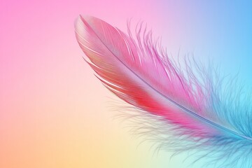 Obraz premium Delicate colorful feather with gradient tones of pink blue and orange floating on soft pastel background symbolizing lightness and elegance