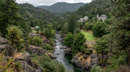 River Through Forest Valley
