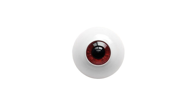 Close-up of a white eye
