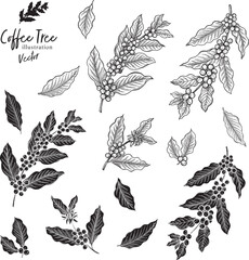 コーヒーの木・線画ベクターイラスト