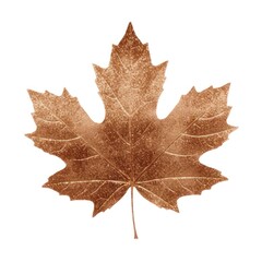 Naklejka premium Brown maple leaf icon plant tree white background.
