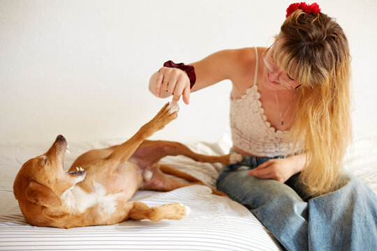 Woman bonding with her playful pet dog at home