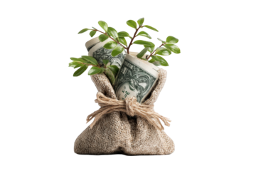 Rolled money in a burlap sack with a small plant