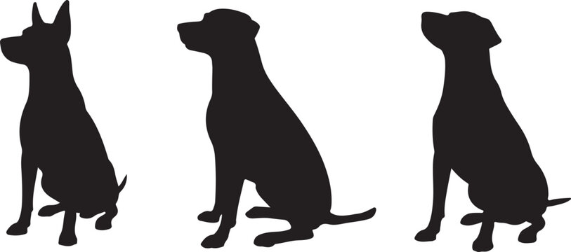 Dog Silhouette Vector Illustration

Loyal Dog Silhouette Design

Pet Dog Outline Graphic