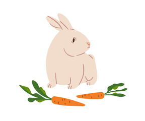 Rabbit with carrots. Cute bunny with vegetable feed. Domestic farm animal, herbivore with long ears. Countryside pet and rural food. Flat vector illustration isolated on white background