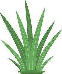 Vibrant green aloe vera plant lush growth natural health and wellness symbol vector