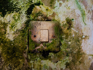 Moldy mossy old electric switch