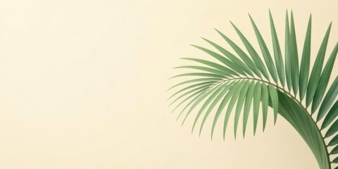 Fototapeta premium Serene Palm Frond Against a Soft, Pastel Background, Perfect for Minimalist Designs and Wellness Branding