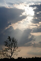 Sunlight Piercing Storm Clouds Over Bare Tree Silhouette