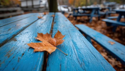 Fallen autumn leaf on a weathered blue picnic table