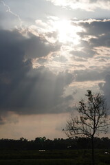 Sun Rays Breaking Through Clouds Over Silhouetted Tree Landscape