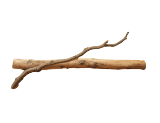 Two pieces of wood, a main log and a branch