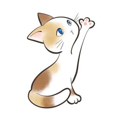 cat 68