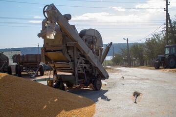 A wide shot of an agricultural scene in a rural setting, featuring a pile of dried yellow corn...