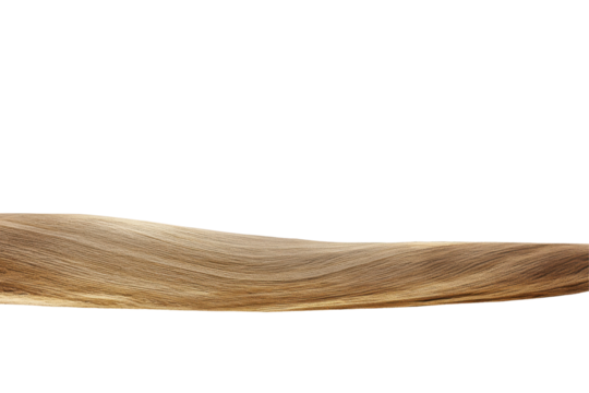 Close up of a textured wooden plank isolated on transparent background.