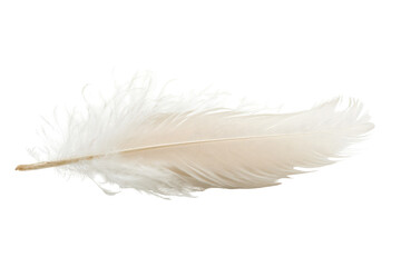 Obraz premium Delicate white feather isolated on transparent background. White feather isolated on white background.