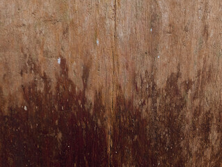 wet old wood texture background