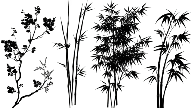 Botanical illustration of plants