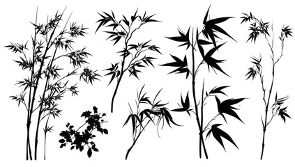 Dark silhouette bamboo illustration