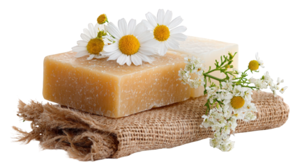 Two bars of light beige soap rest on a burlap cloth, adorned with white daisies