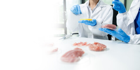Two Asian women scientists in lab coats testing raw meat samples with tweezers. Food safety,...