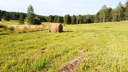 Hay Bale on a Green Meadow – Countryside Farming Landscape