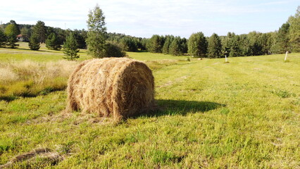 Hay Bale on a Green Meadow – Countryside Farming Landscape
