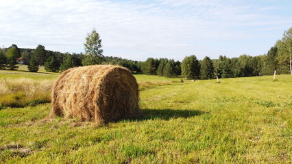 Hay Bale on a Green Meadow – Countryside Farming Landscape