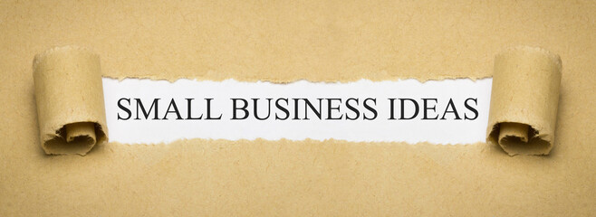 Small Business Ideas