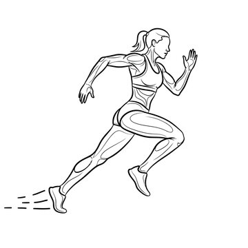 Woman athlete running, outline drawing vector line art