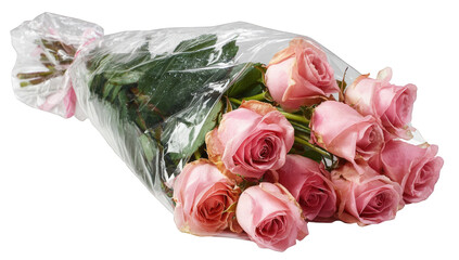 Bouquet of pink roses in plastic wrap (2)