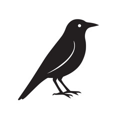 Silhouette of a coyote standing, isolated on white background