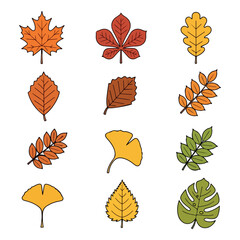 Collection of Hand-Drawn Style Foliage Illustrations