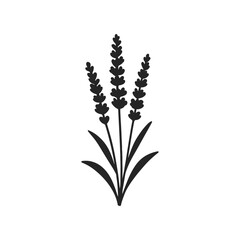 Flower Lavender Silhouette