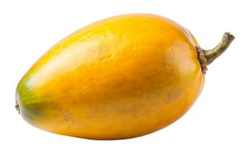 Single ripe eggfruit canistel isolated high quality produce photography transparent background
