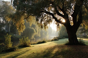 Tranquil morning by a river, sunbeams through trees
