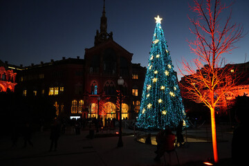 Christmas tree in front cathedral at night in Barcelona, Spain. Holy night.