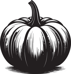 Acorn Squash Silhouette Black Vector Illustration