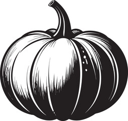 Acorn Squash Silhouette Black Vector Illustration