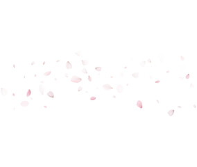 Soft Petals Floating On White Vector For Skincare Beauty And Spa Design